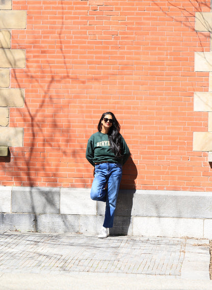Biryani Crewneck Sweatshirt